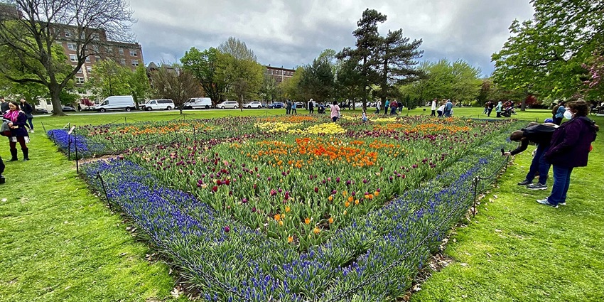 An image of people exploring Washington Park, which is among the things to do in Albany.