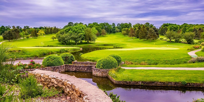 Relaxing amidst lush greenery at Reaney Park is one of the things to do in Pullman, WA for nature lovers
