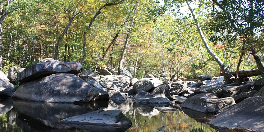 Walk scenic trails and enjoy a picnic with the family at peaceful Unami Creek Park.