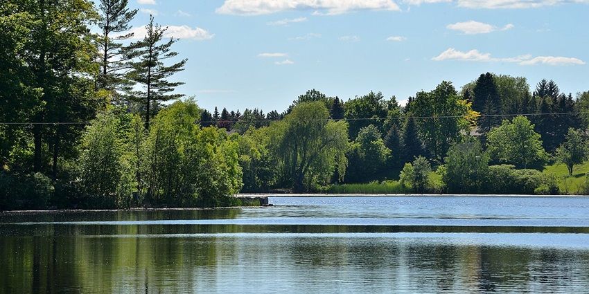 Hike wooded trails, paddle on the lake, or enjoy a picnic surrounded by peaceful natural scenery.