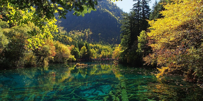 A clear blue lake with drowned trees in Rize Valley, one of the valleys in China.
