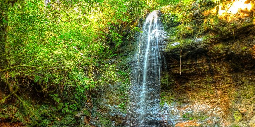 Panoramic view of Salto Encantado with dense jungle and a central cascading waterfall.