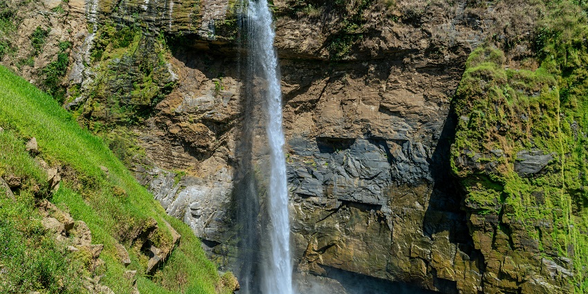 Multiple streams of water flow over a rocky cliff into a green pool surrounded by trees.