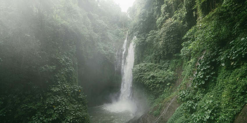 A stream of water cascades over a cliff covered in lush vegetation into a natural pool.