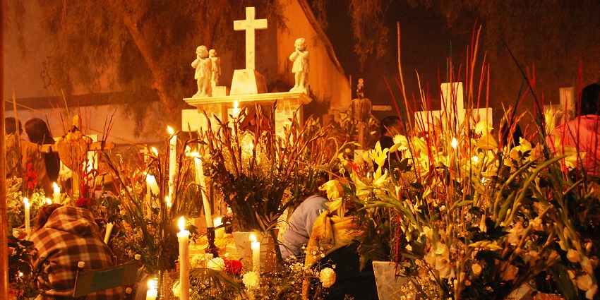 Graves covered in offerings of flowers and candles in a cemetery during Day of the Dead