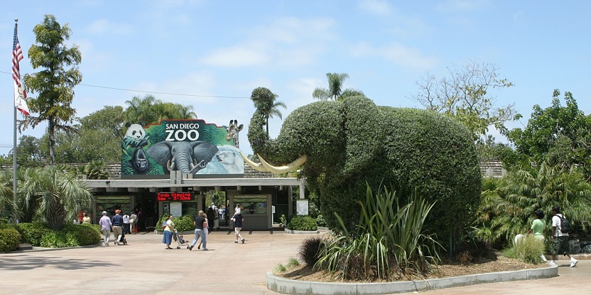entrance of San Diego Zoo with elephant statue, a popular Zoo in the United States