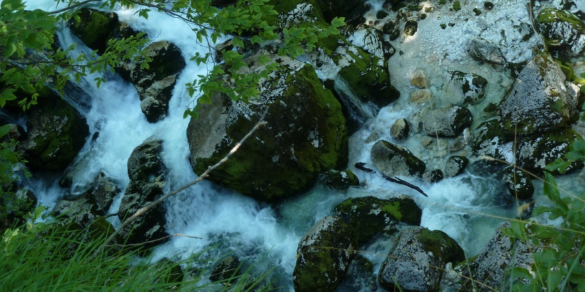 Things to do in Bohinj showcase Savica Waterfall cascading in lush alpine forests