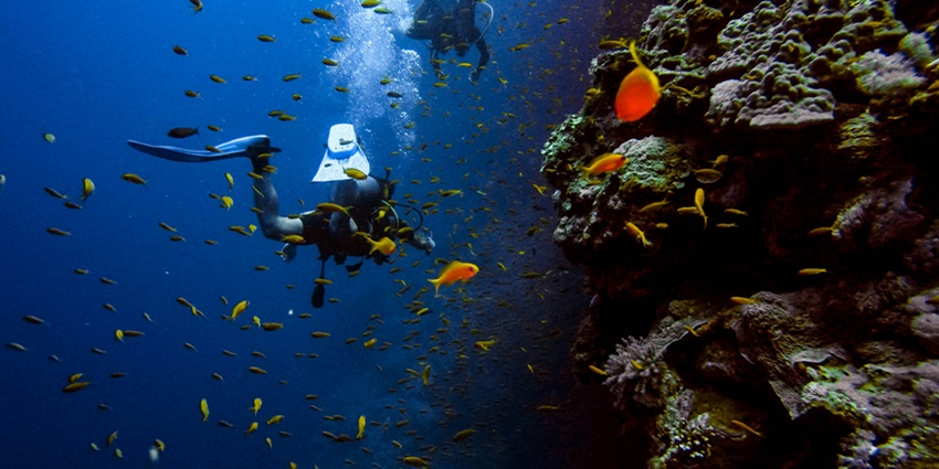 Dive into the underwater world of El Nido, where you can explore vibrant coral reefs.