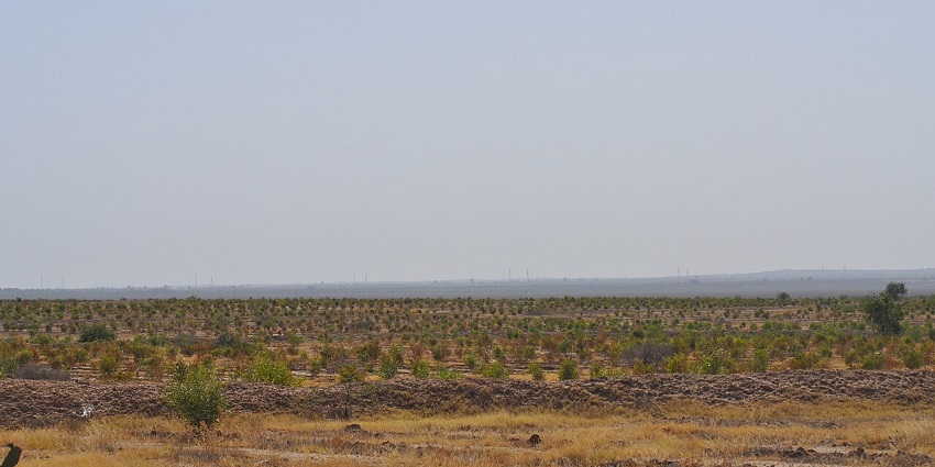 An image of Sebkhet Kelbia, a natural Zoos In Tunisia ideal for birdwatching and wetland fauna.