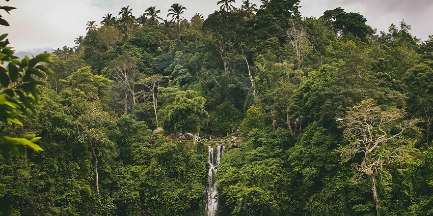 A waterfall surrounded by lush greenery, with a peaceful yet adventurous natural setting.