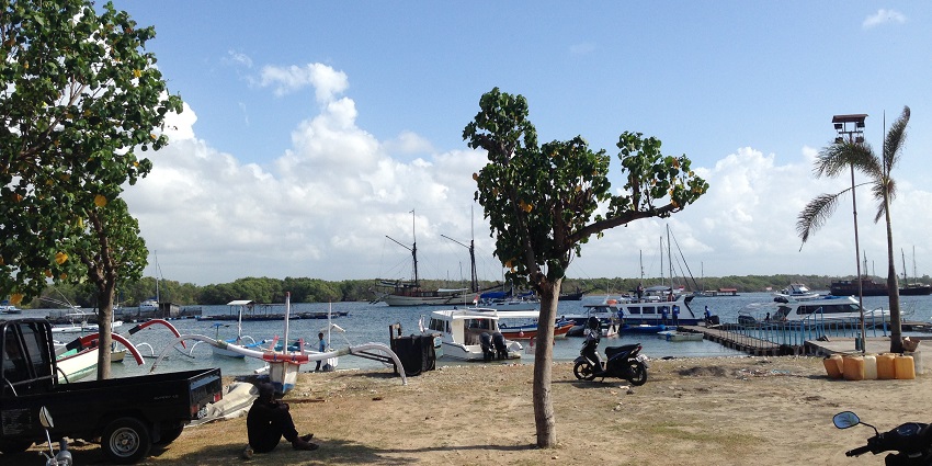 A shoreline with a boat docked at the mangrove-covered Serangan Island, under a blue sky.