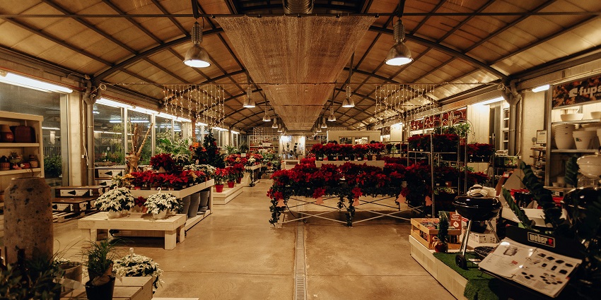 Seeing colorful flowers on display and purchasing them is a fun thing to do in Swan Hill.
