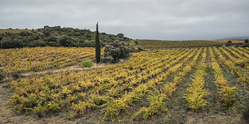 Ironstone Vineyards is a beautiful retreat and one of the famous things to do in Angels Camp.