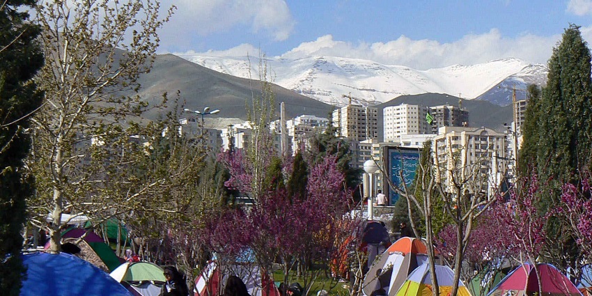 Families gather outside with food and toddlers and sit by a lake with blue water