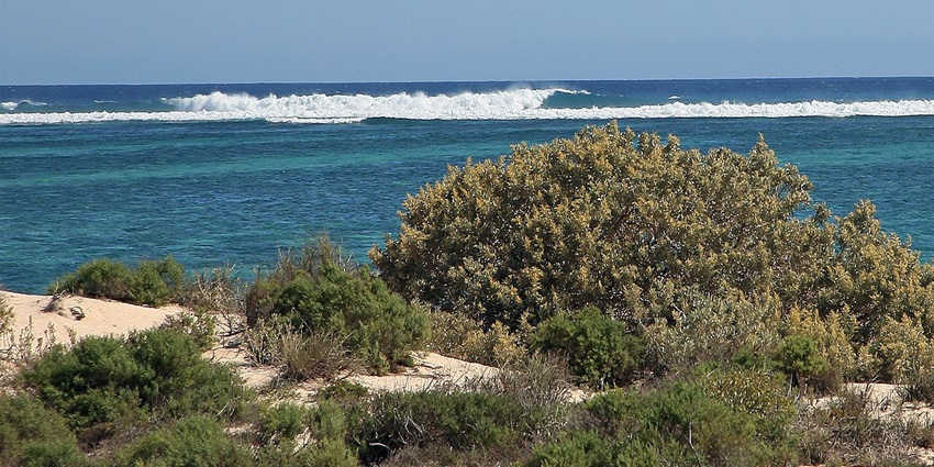 Image of Ningaloo Reef; snorkelling here is one of the best things to do in Australia in March.