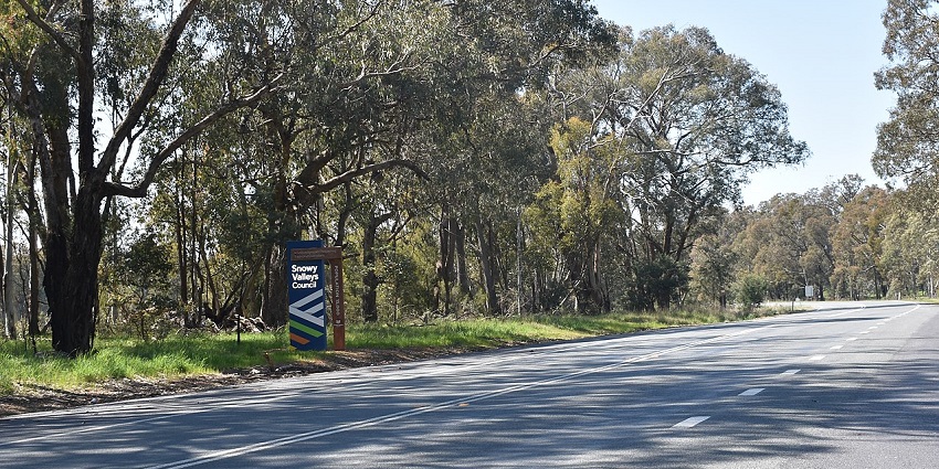 Winding road cutting through a dense forest with tall green trees on both sides.