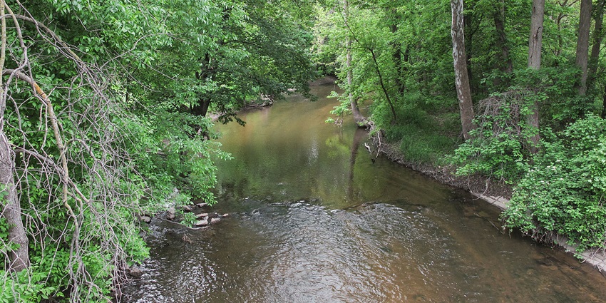 An Image of a river by sycamore mineral springs, one of the top things to do in Avila Beach.