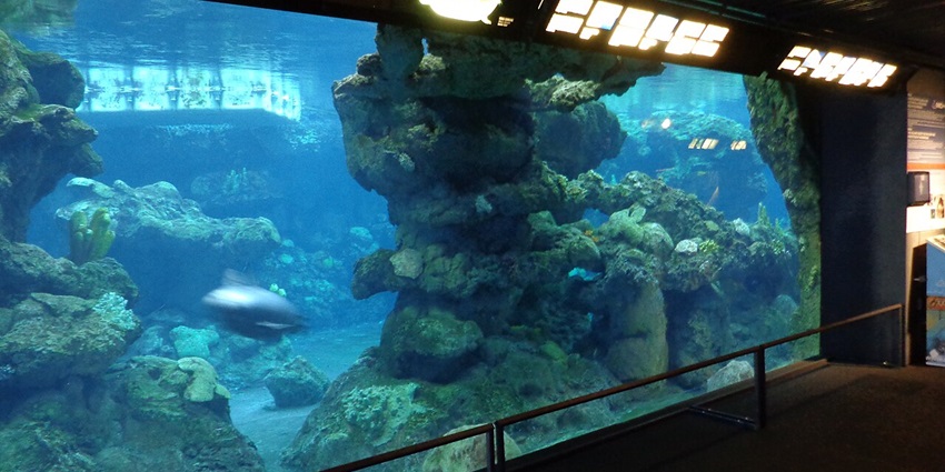 Modern glass structure facing the harbour, the Genoa Aquarium is a top family-friendly thing to do in Genoa.