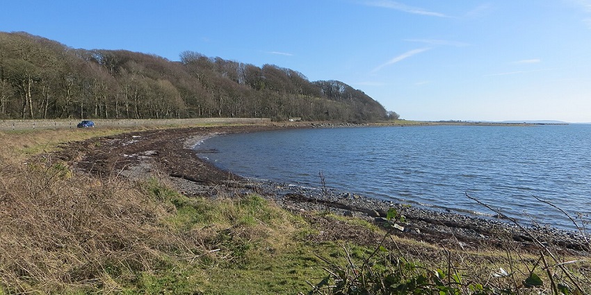 Peaceful landscape of Strangford Lough with calm waters and lush green surroundings.