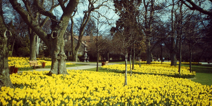 Stroll through Hazlehead Park for crisp air, quiet paths, and peaceful things to do in Aberdeen in winter.