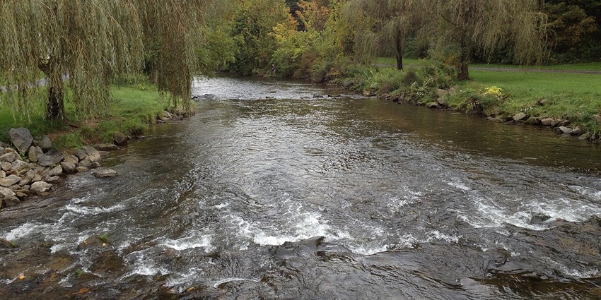 Green trails and scenic views make it one of the relaxing things to do in Allentown, PA