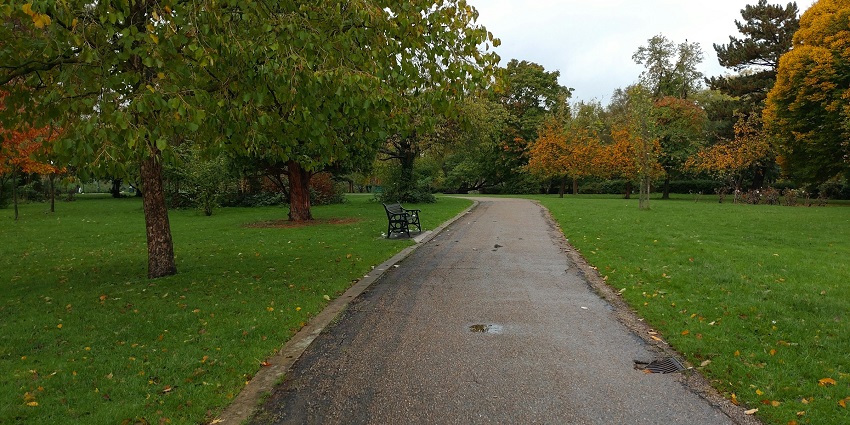 Strolling through Nowton Park is one of the most peaceful things to do in Bury St Edmunds