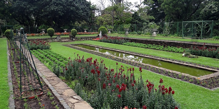 Things to do in Durban include relaxing in Durban Botanic Gardens, a lush tropical space.