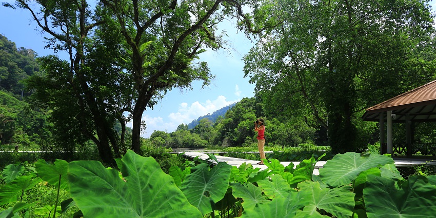 Hidden gem with clear natural spring pools set amid a tropical jungle ecosystem, among the best things to do in Surat Thani.