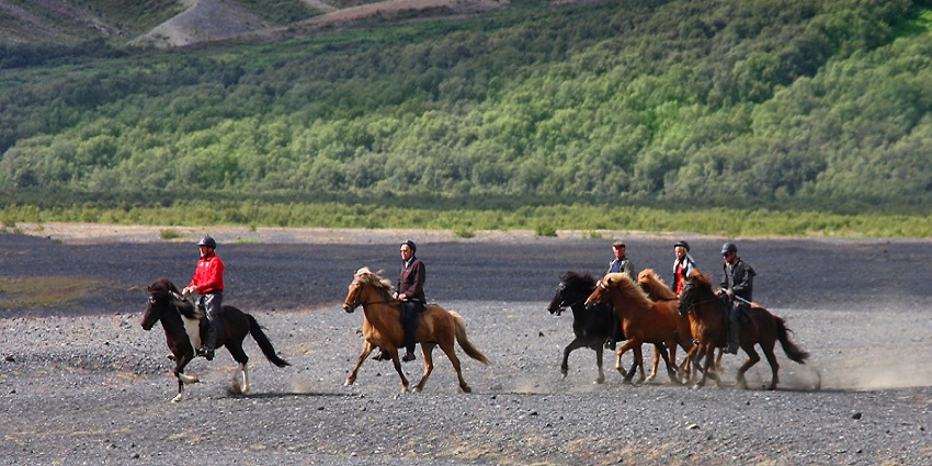 Things to do in sayulita thrill with horseback adventures along scenic coastal trails