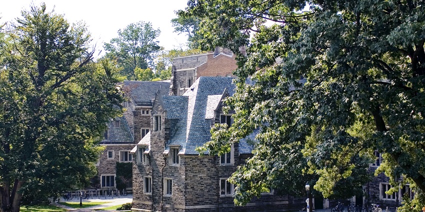 A historic stone building surrounded by greenery on the Princeton University campus.