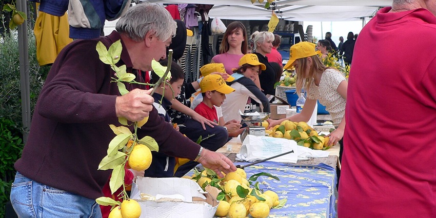Try lemon-infused desserts, limoncello, and citrus pastries made from Monterosso’s lemons.