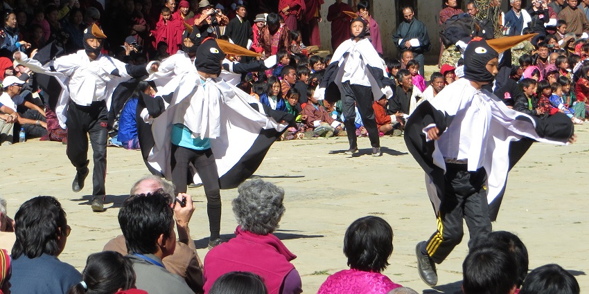 Children in black-necked crane costumes perform a crane dance while a festival crowd watches.