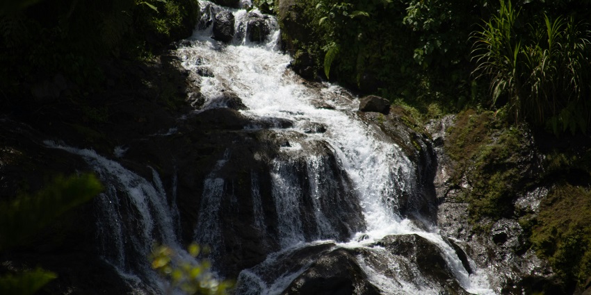 Thousand-foot falls cascade in a lush forest, a stunning highlight of waterfalls in Belize.