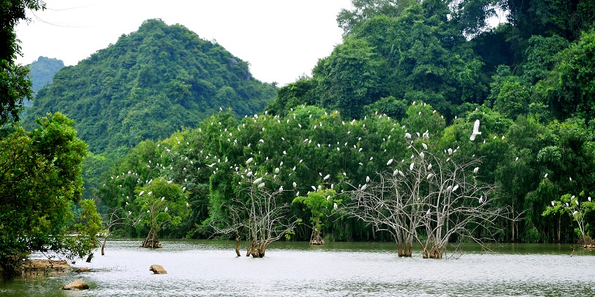 Scenic view of a lake in Thung Nham Bird Park, one of the spots near Bai Dinh Pagoda for nature lovers