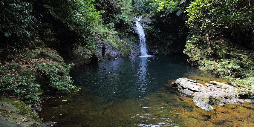 A serene waterfall flows into a dark pool, surrounded by lush forest and rocky terrain.