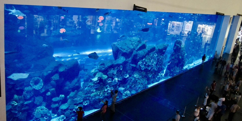 Visitors watching a diver feeding fish at The Lost Chambers Aquarium in Dubai