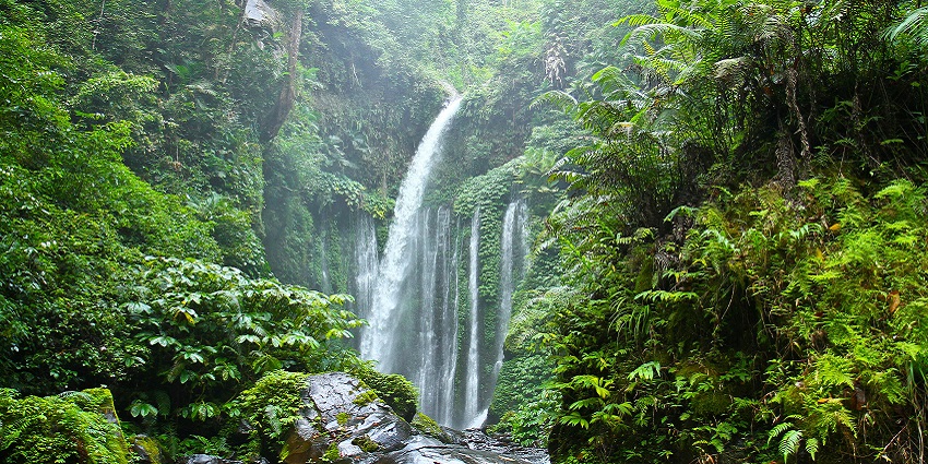 A waterfall with a powerful cascade amidst a lush forest offers a breathtaking sight.