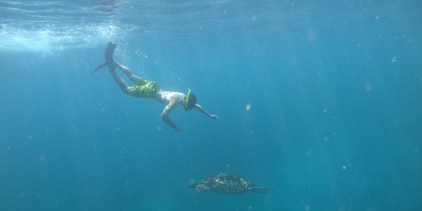 Snorkeling adventures reveal vibrant reefs as things to do inspire underwater exploration