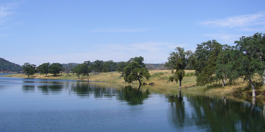 A tranquil lakeside at New Melones Lake – ideal for outdoor fans seeking things to do in Angels Camp.