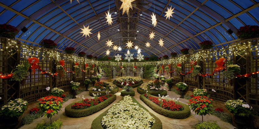 Explore Ruse City Garden's rich landscapes and quiet atmosphere, ideal for relaxation.