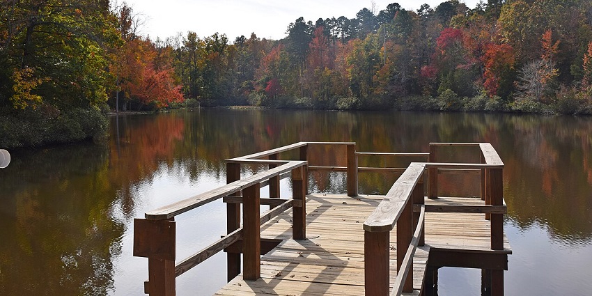 Unwind by the lake with picnics, playgrounds, and peaceful water-based activities.