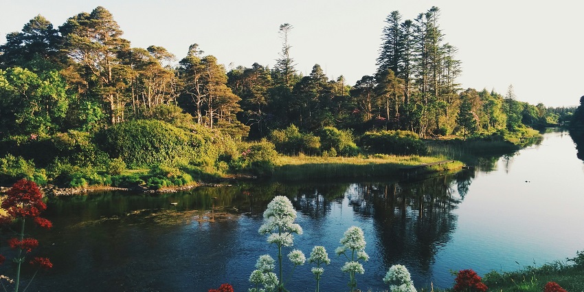 Unwind at Tymon Park is one of the top things to do in Tallaght, Dublin, Ireland.