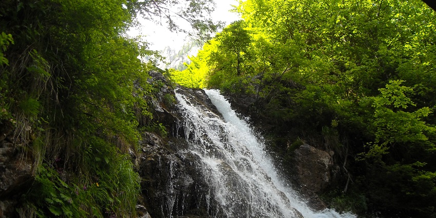 Urlătoarea Waterfall is streaming through a forested area while rocks are catching spray.