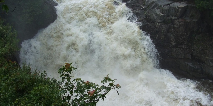 A scenic view of a gently flowing waterfall over rocky ledges in a deep forested area.