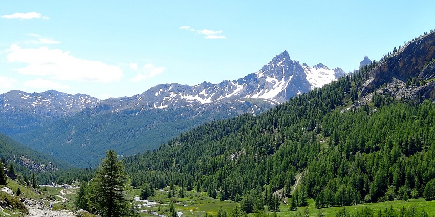 An image of Vallée de la Clarée, showing the best time to visit these valleys in France with golden alpine meadows.