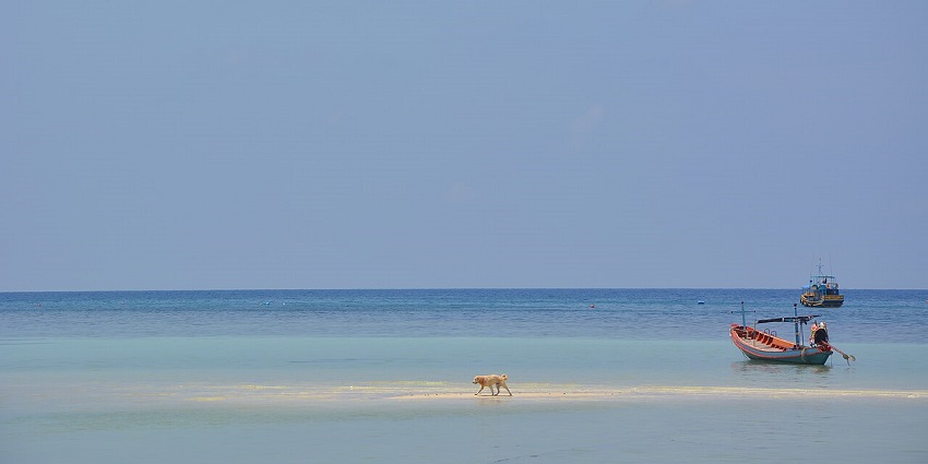 Peaceful bay with shallow waters, palm-lined shores, and relaxed vibes ideal for swimming and sunbathing.