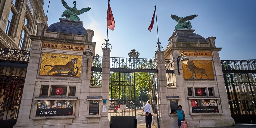 A family-friendly zoo featuring exotic species and beautifully landscaped exhibits.