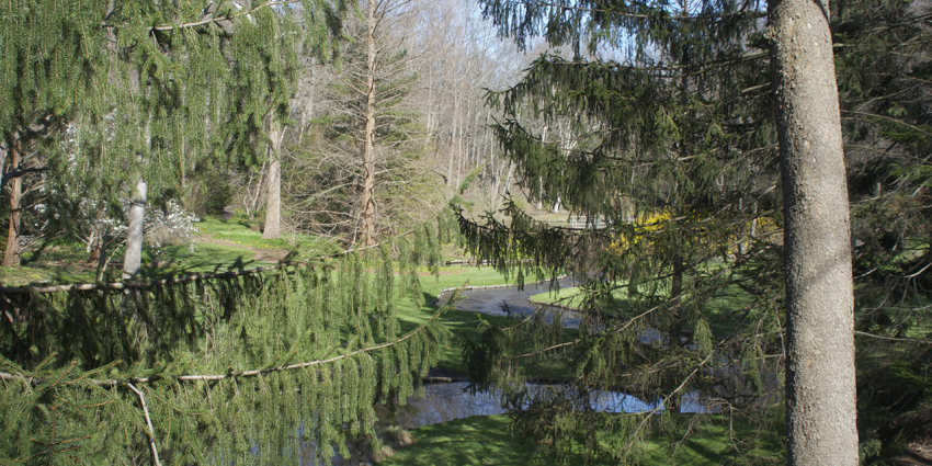 Snap nature shots in Buck Garden's rock trails,serenity among things to do in Somerset County.