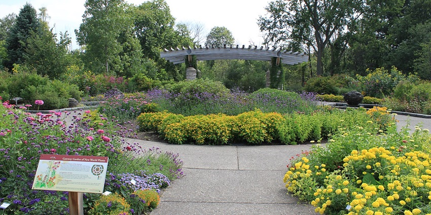 Greenery at Matthaei Gardens is ideal for nature lovers exploring famous things to do in Ann Arbor.