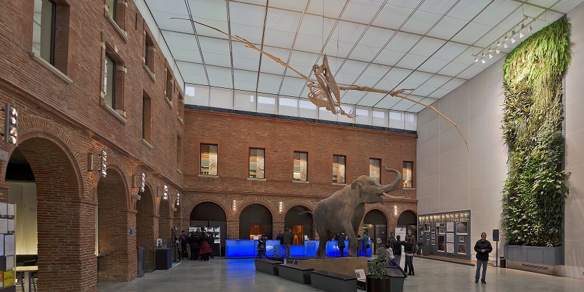 While exploring things to do in Toulouse, you must visit the impressive museum in France